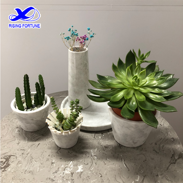 small plant home decor