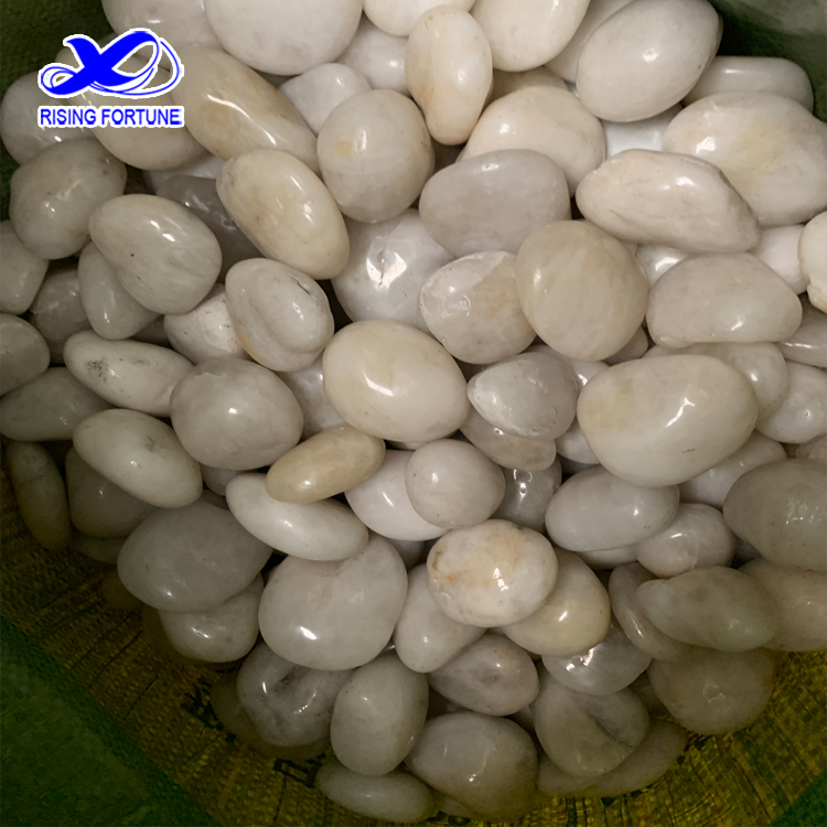 super polished white pebbles