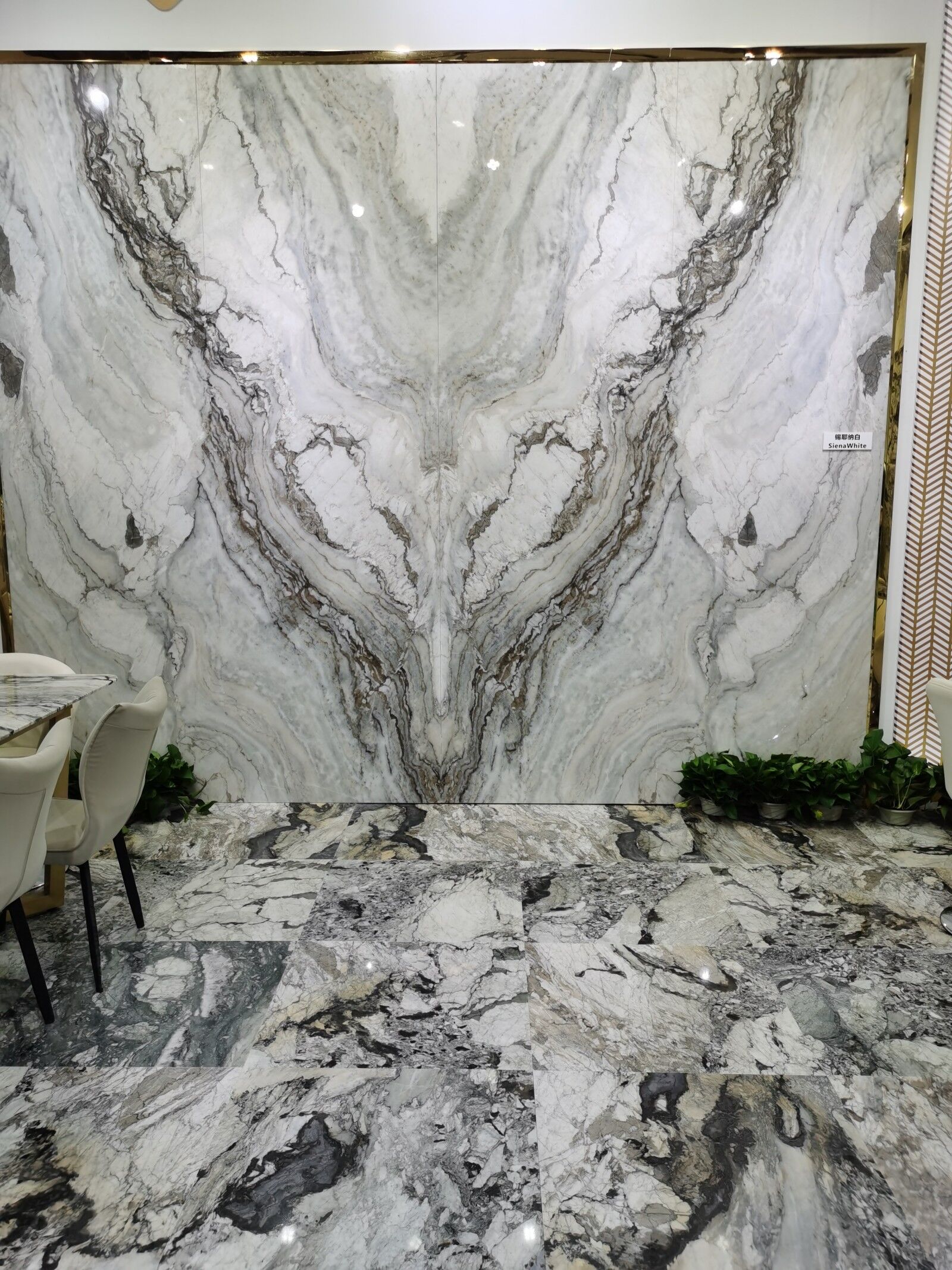 marble wall and floor