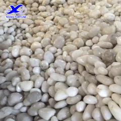 white pebbles
