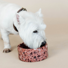 Wholesale Customised Logo Terrazzo Stone Dog Cat Pet Food Water Bowl