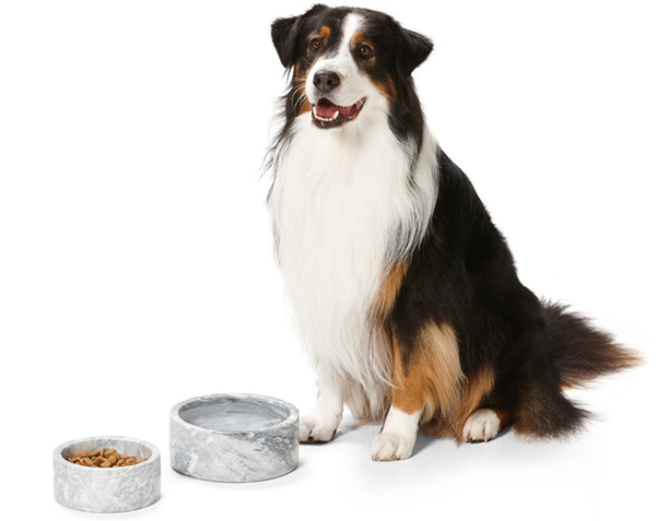 Pet products in the peak season